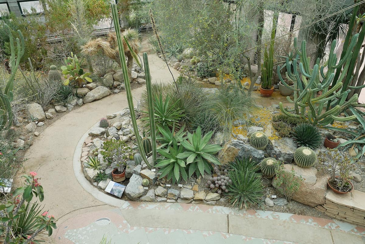 A desert garden path at the ABQ BioPark Botanic Garden