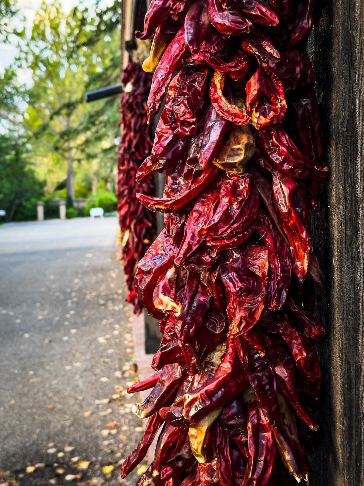 A ristra of dried red chiles hanging from a porch