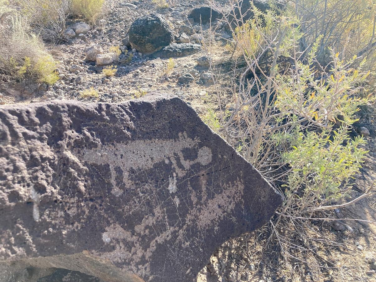Petroglyphs carved into volcanic rock in Boca Negra Canyon